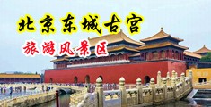 舒服大鸡吧用力插免费视频中国北京-东城古宫旅游风景区